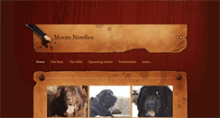 Desktop Screenshot of moorenewfies.com