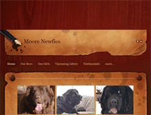 Tablet Screenshot of moorenewfies.com